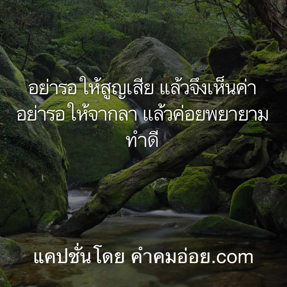 คําคมกวนตีนอย่ารอให้สูญเสีย แล้วจึงเห็นค่า อย่ารอให้จากลา แล้วค่อยพยายามทำดี